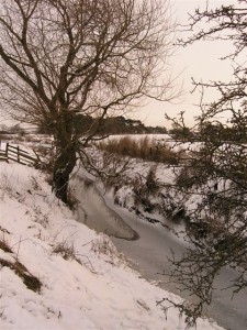 The river Wiske is freezing over