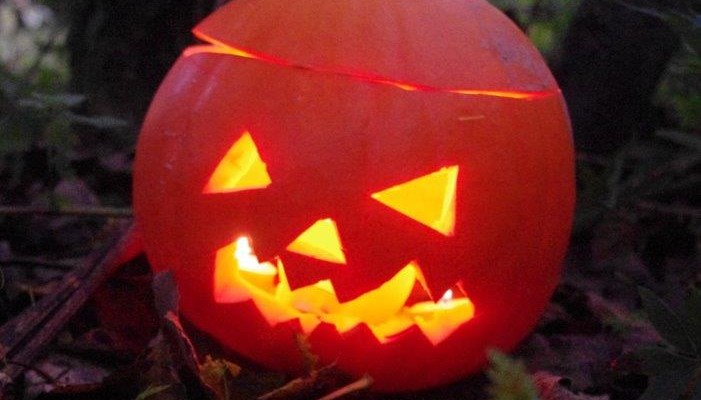 halloween lanterns were made to scare ghosts