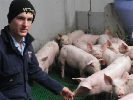 Matt Donald with growing piglets